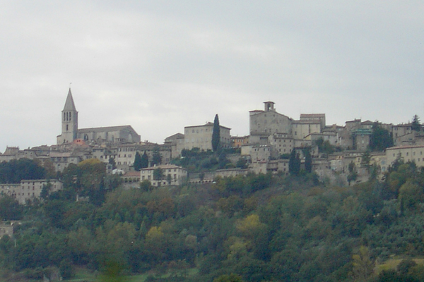 Assisi Vista